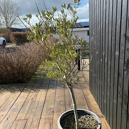 Med Havudsigt Pa Fyn Tatil Evi Asperup